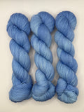 Delphinium