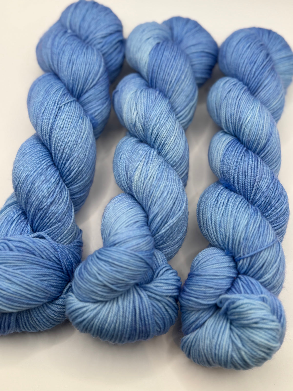 Delphinium